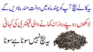 Suraj Mukhi Beej Ka Business 2025 | Sunflower Seeds Ka Karobar Kaise Shuru Karein