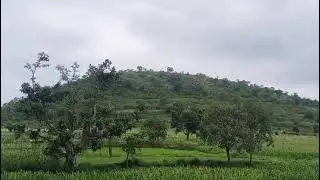  Nilgiris, near dodabetta peak, 30 cents available, price per cent 3.65 lakhs, contact 8098010487