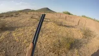 2020 Early Season Dove Hunt