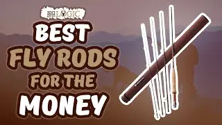 Best Fly Rods For The Money 🎣: Top Options Reviewed | Big Game Logic