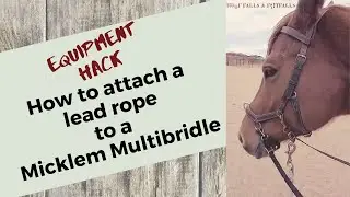 Attaching Lead Rope to Micklem Multibridle during Adaptive/Therapeutic Riding Lessons