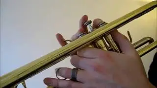Learn to play D on trumpet