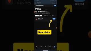 paws today mystery quest | mystery quest paws | paws new mystery quest | paw mystery quest today