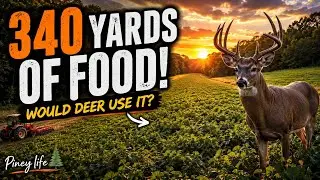 Deer food plot! Whitetail institute. Step by step from preparing the ground to planting!