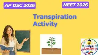 Transpiration activity#science easy activities#viral@Happy learning