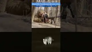 1600  Yards  Thermal Hunting Scope
