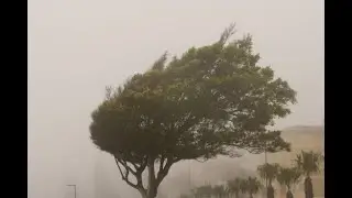 Omaha HIGH WIND WARNING with Live Skycam and radar