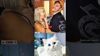 man funny memes 💀 #funny #cat #dance #trending