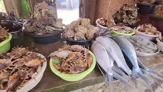 Canigao Island Cheapest Hopping