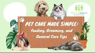 Pet Care Made Simple; Feeding, Grooming, and General Care