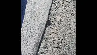 reinstatement of kerb and gutter
