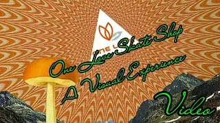 One Love Skate Shop  A Visual Experence