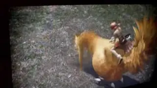 Final Fantasy XIII - Chocobo Treasure Hunting