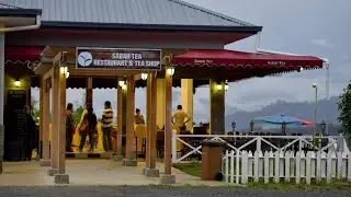 Sabah Tea Resort, Kinabalu National Park, Malaysia | Travel With Somya