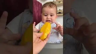 8 month old baby eating mango for the first time #cute #shorts