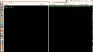 PinPoint Victims - Python Botnet
