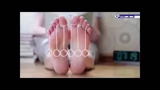 рекламные заставки тв3-тв 01.09.2020.н.в
