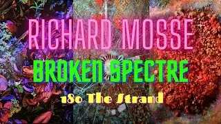 Richard Mosse: Broken Spectre - A contemporary art MASTERPIECE at 180, The Strand
