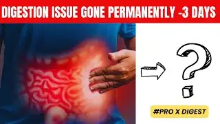 Digestion Problem Solution: The Ultimate Digestive Weapon Pro X Digest Explained| #proxdigestreview