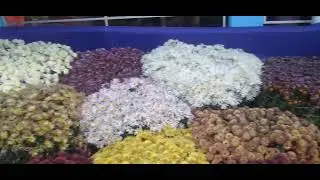 এমন এক ভিডিও নিয়ে এসেছি যদি  এই ভিডিও না ভাল লাগে  তাহলে কোন ভিডিও ভাল লাগবে না।অবশ্যই দেখুন নমস্কা
