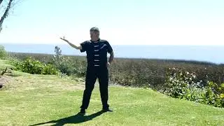 Qi Gong para la salud:  Los siete gestos preciosos