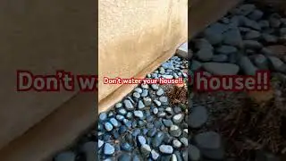 Don&rsquo;t water your house!! Damaged stucco & weep screed