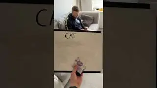 Напишите слово &laquo;кот&raquo; из 7 букв 🤯