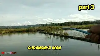 selalu ada streknya di spot ini‼️mancing liaran‼️di waduk karang kates part 2@londoarap3967