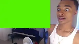 flight reacts shocked meme (greenscreen)