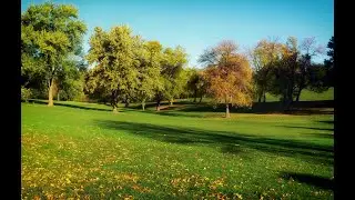 Shattered In Scoras Park