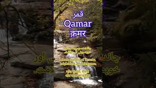 Qamar - قمر - क़मर - Name Meaning #shorts