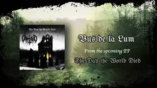 Daysidied - Bus de la Lum [Visualizer Video]