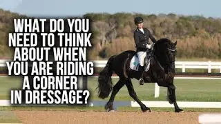 WHAT YOU THINK ABOUT WHEN YOU ARE RIDING A CORNER IN DRESSAGE? - Train With Tash TV 29th August