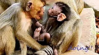 Little Loni Weakness & Hungry Till confuse Request Milk From Diamond, Baby David Very W0nder.