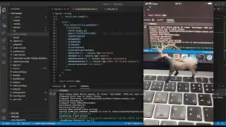 React Native AR View
