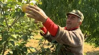 أرمينيا: شراكة مثمرة