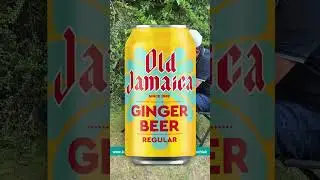 Old Jamaica Ginger Beer Carbonated Soft Drinks, 330ml