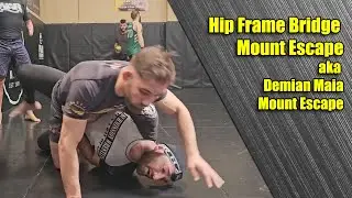 Hip Frame Bridge Mount Escape