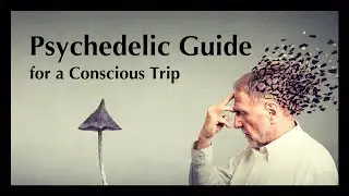 Giving & Receiving: A Guide for a Conscious Psychedelic Journey