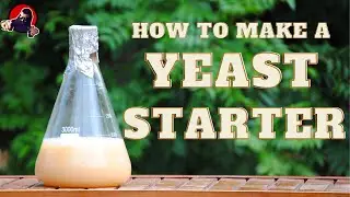 How to Make a Yeast Starter