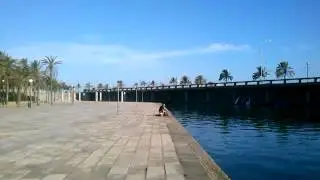 cesareo vagando por palma de mallorca.PARQUE DEL MAR 2