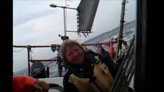 Bootsleben: Asiak Segelt&ouml;rn Ostsee 2014