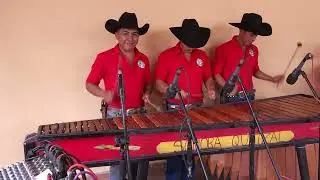 EL PASITO PERRON ,,,,  Marimba sonora quetzal