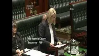 Speech against the privatisation of the NSW electricity network