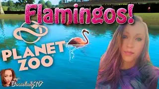 Bosselady's Planet Zoo Adventures: Flamingo Habitat Gone Wild (Way Too Big!)