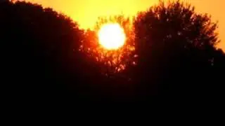 Morphia- Unfulfilled dreams