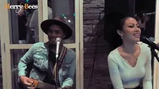 Merry Bees - Abbey Tan (feat Jamiel) Highlights