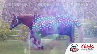 Chicks Saddlery Horse Blankets Gummy Bear 30 v1