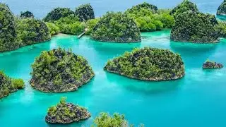 Baozi Training Leetcode 200 solution: Number of Islands (Using BFS, DFS & Disjoint Set)