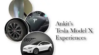 Tesla Model X - Door actuator malfunction and paint damage
